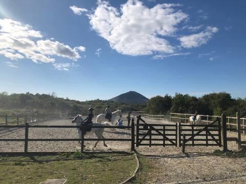 Letterfrack Farmhouse On Equestrian Farm In Letterfrack Beside Connemara National Park Tullywee Bridge Экстерьер фото