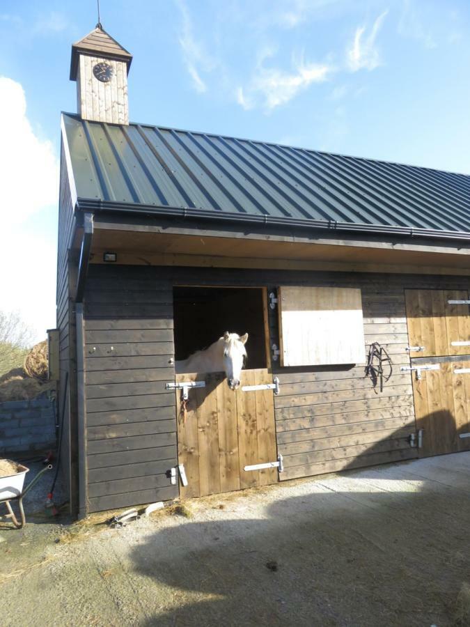 Letterfrack Farmhouse On Equestrian Farm In Letterfrack Beside Connemara National Park Tullywee Bridge Экстерьер фото